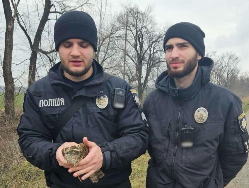 На Дніпропетровщині поліційні врятували яструба зі зламаним крилом