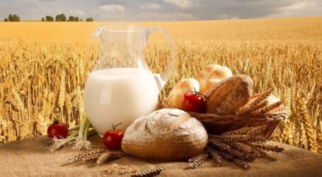 Виробники агропромислового комплексу можуть отримати генератори від міжнародних партнерів