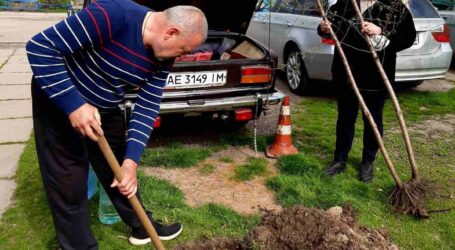  В Кам’янському тривають толоки