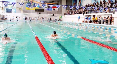 У Кам`янському відбувся Кубок з плавання SWIM SHARKS
