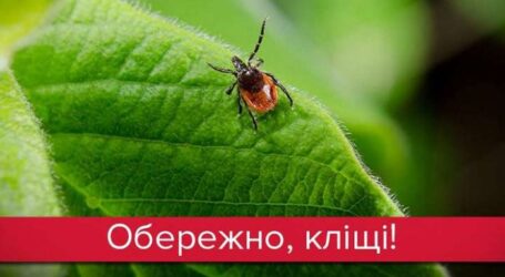 Кам’янчанам нагадують про небезпеку хвороби Лайма