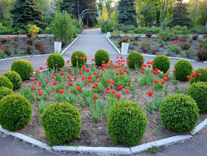 Вночі над Дніпропетровщиною наші військові знищили «Шахеди»