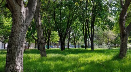 Вночі та зранку гучно було в одному з районів Дніпропетровщини