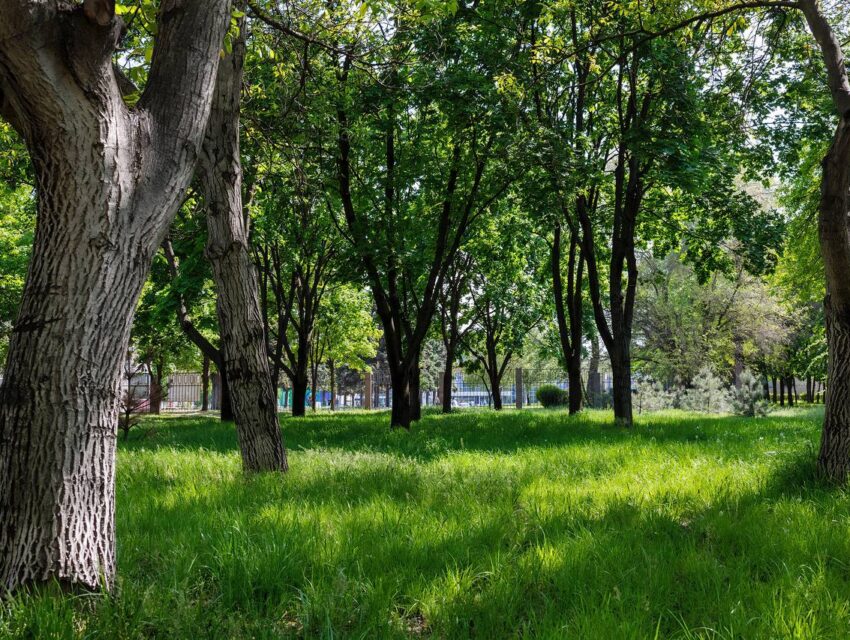 Вночі та зранку гучно було в одному з районів Дніпропетровщини