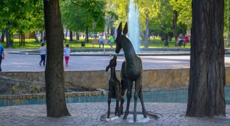 Вночі наші військові знищили над Дніпропетровщиною ворожі «Шахеди»