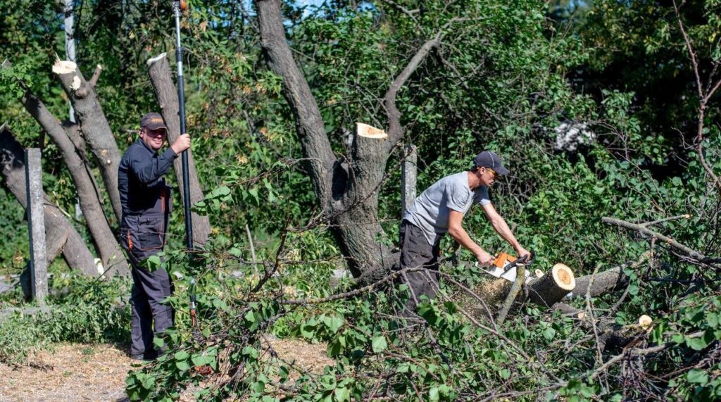 У двох школах Кам'янського почали будувати «з нуля» нові сучасні укриття - ФОТО