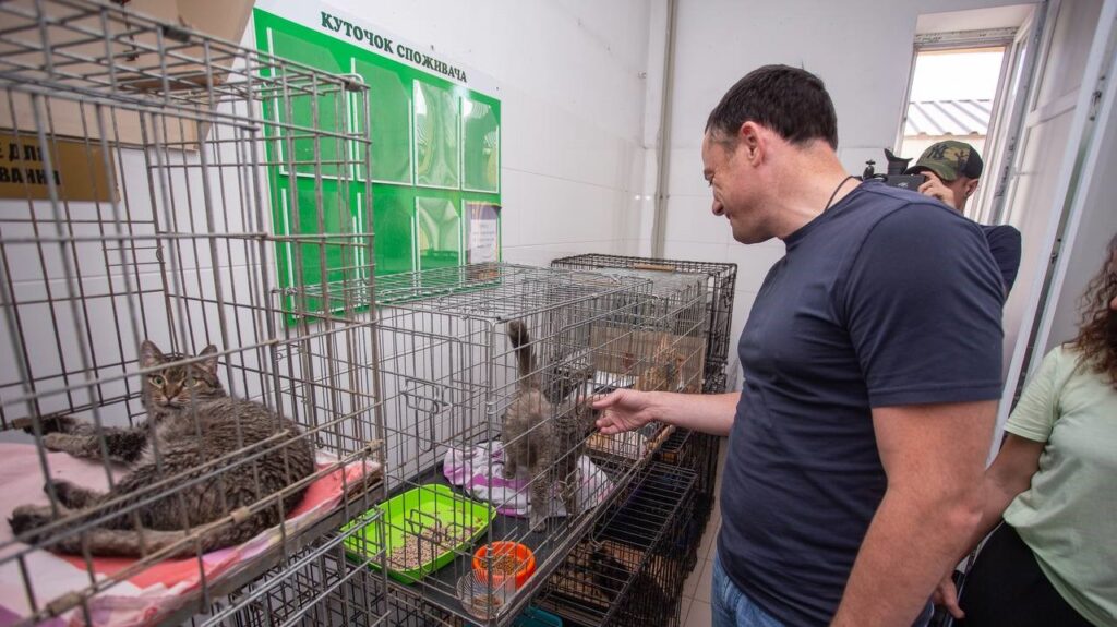 В Кам'янському притулку для тварин опікуються також чотирилапими переселенцями - ФОТО