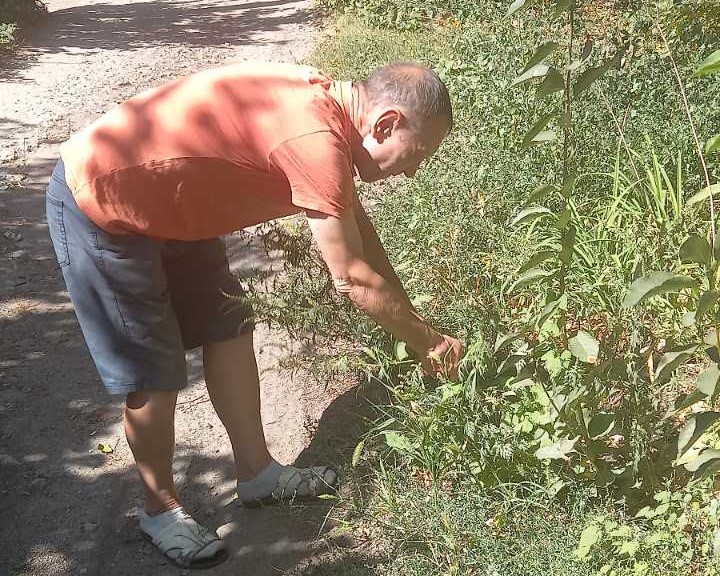 В Кам'янському активні мешканці наводять лад на прибудинкових територіях - ФОТО