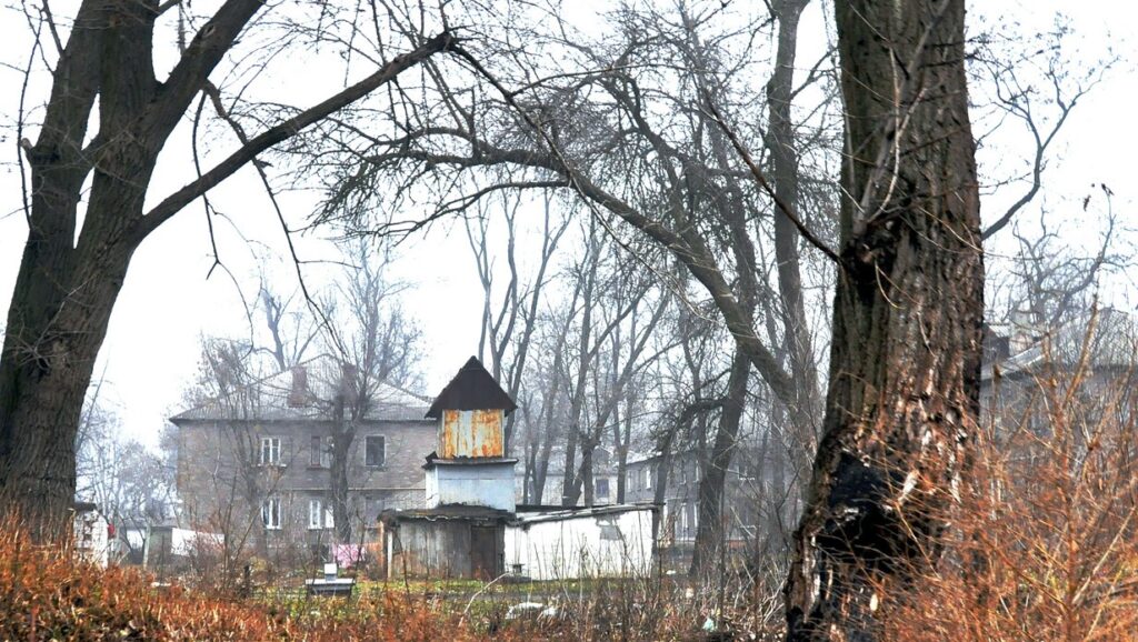 Голуб`ятні — дивовижні раритети Кам`янського - ФОТО