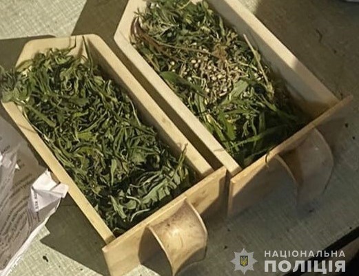 У Кам’янському двох чоловіків підозрюють у незаконному вирощуванні та збуті конопель