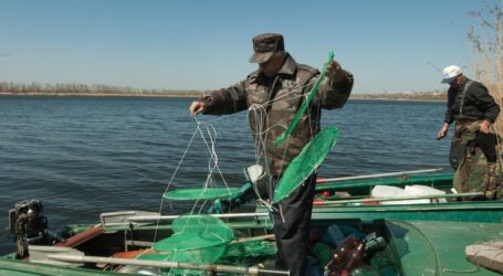 З початку листопада в Україні вводиться заборона на вилов риби