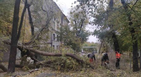 В Кам’янському усувають наслідки негоди