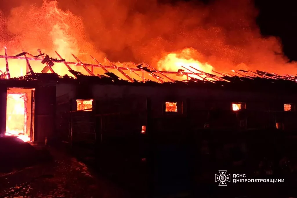 Майже півтора десятка тварин загинули на конефермі поруч з Кам'янським - ФОТО