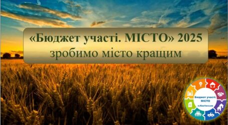 В Кам’янському провели експертизу громадських проєктів «Бюджет участі. МІСТО» і «Бюджет участі. ДІТИ» 2025 року