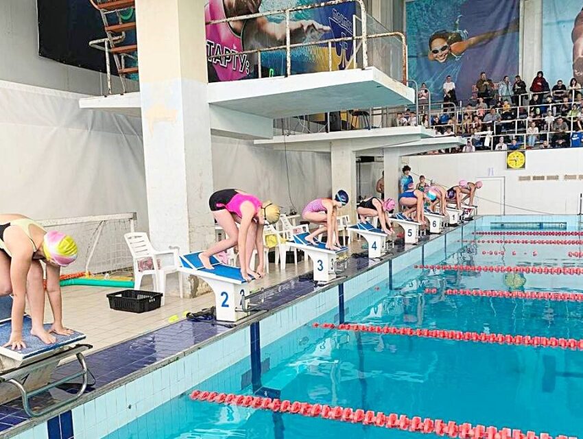 У відкритому чемпіонаті Кам’янського з плавання взяли участь пів тисячі плавців з різних міст України