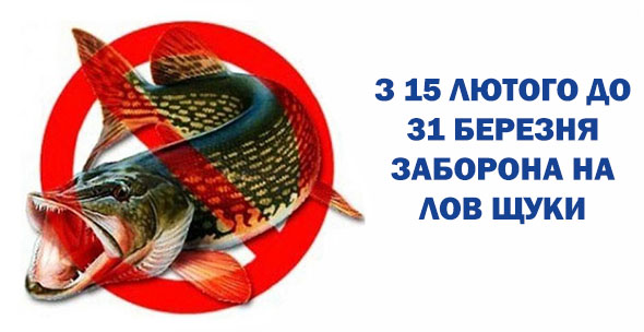 З 15 лютого на Дніпропетровщині заборонено ловити щуку