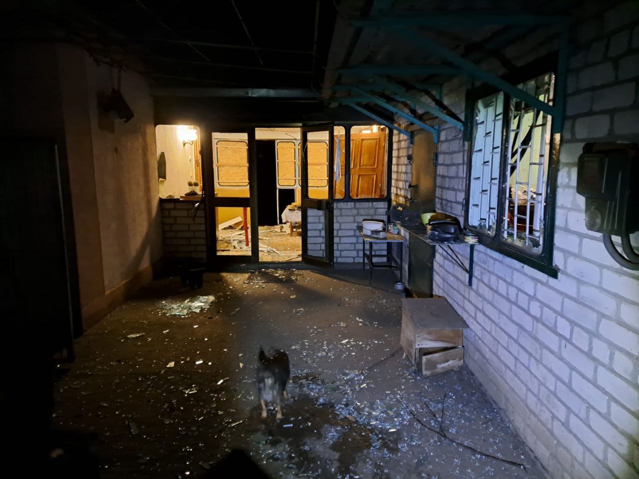 Вночі наші захисники знищили над Дніпропетровщиною пів десятка ворожих БпЛА - ФОТО