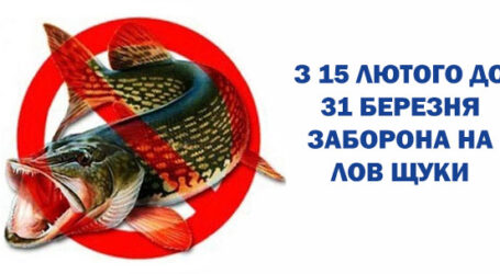 З 15 лютого на Дніпропетровщині заборонено ловити щуку