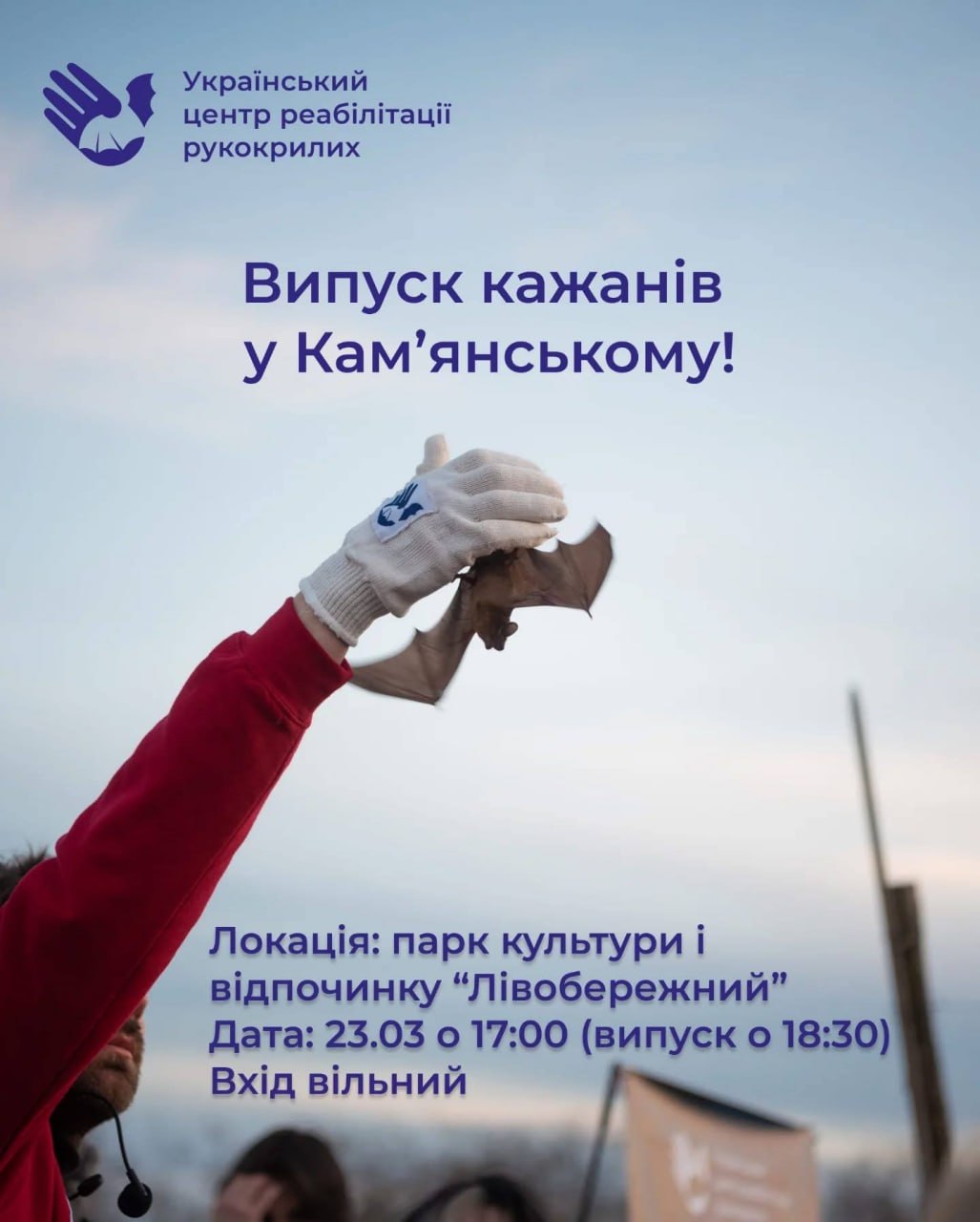 Оксана Астапенко: «Взяла я свою торбинку і пішла рятувати кажанів: назбиралося їх тоді більш як триста особин» - ФОТО