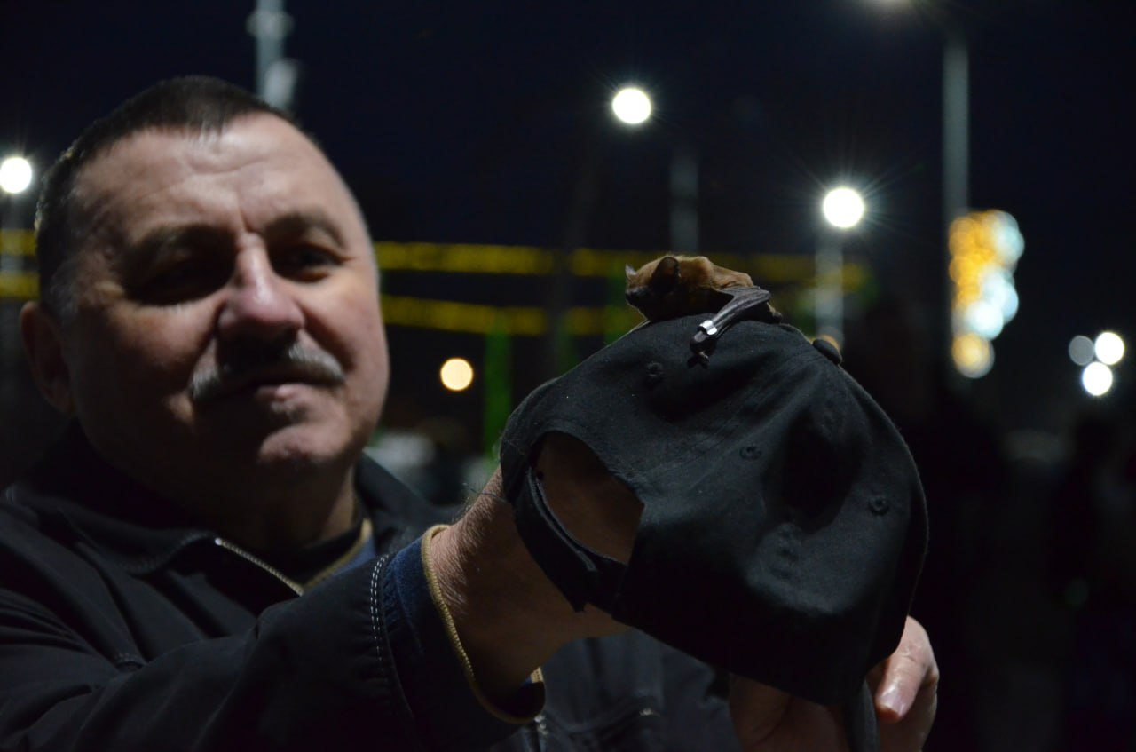 На Лівобережжі Кам'янського відбулась акція з випуску на волю врятованих кажанів - ФОТО