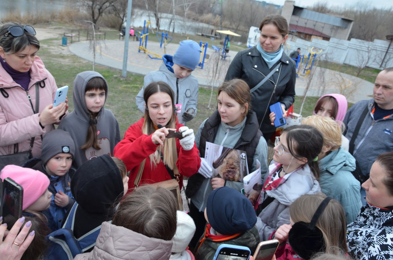 На Лівобережжі Кам'янського відбулась акція з випуску на волю врятованих кажанів - ФОТО
