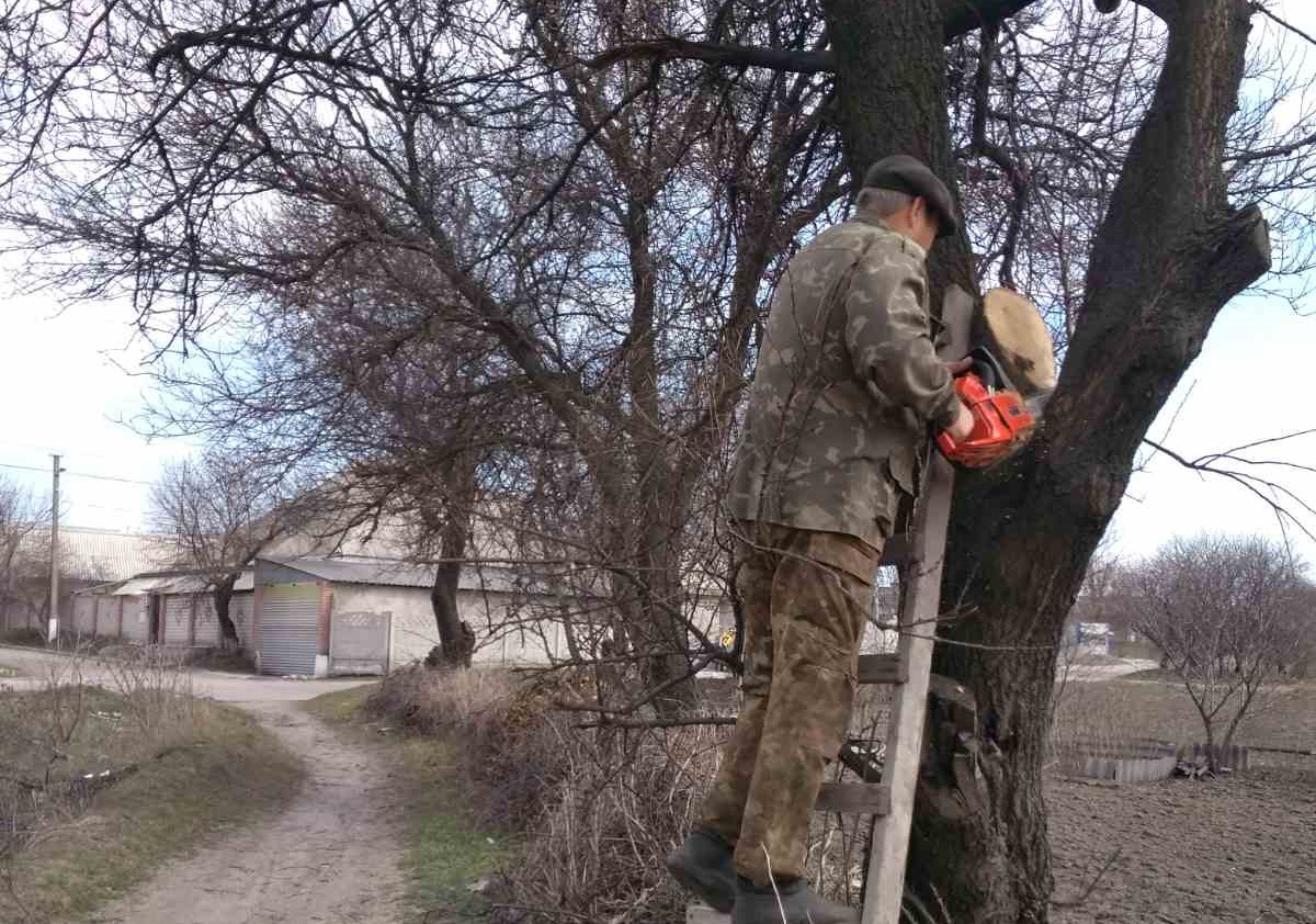 В Кам'янському активні мешканці почали наводити лад на прибудинкових територіях - ФОТО