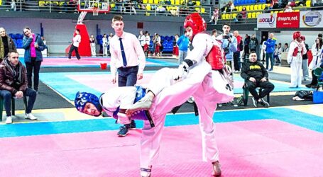 Понад 300 спортсменів взяли участь у чемпіонаті Дніпропетровщини з тхеквондо, що відбувся в Кам’янському