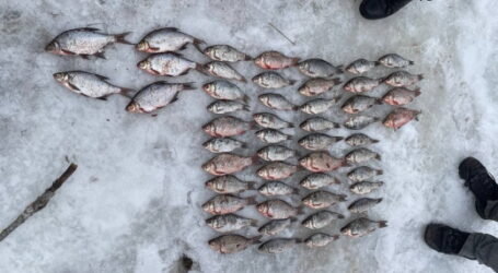 На Дніпровському водосховищі біля Карнаухівки викрили браконьєра, що завдав збитків рибзапасам на понад 80 тис. грн