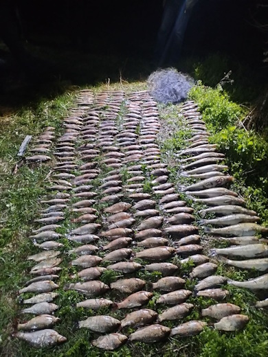На Кам’янському водосховищі затримали браконьєра, який виловив незаконним способом 50 кг риби