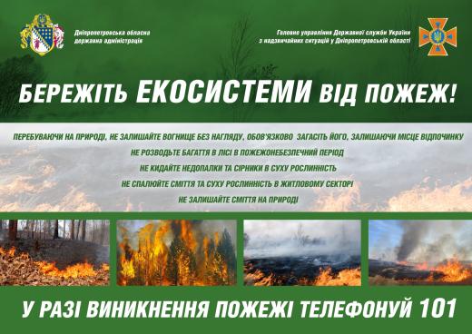 Спалювання сміття та сухостою – причини пожеж в екосистемах, нагадують надзвичайники - ФОТО