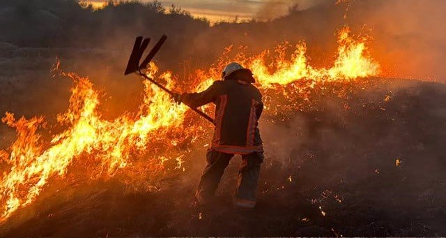 Спалювання сміття та сухостою – причини пожеж в екосистемах, нагадують надзвичайники 