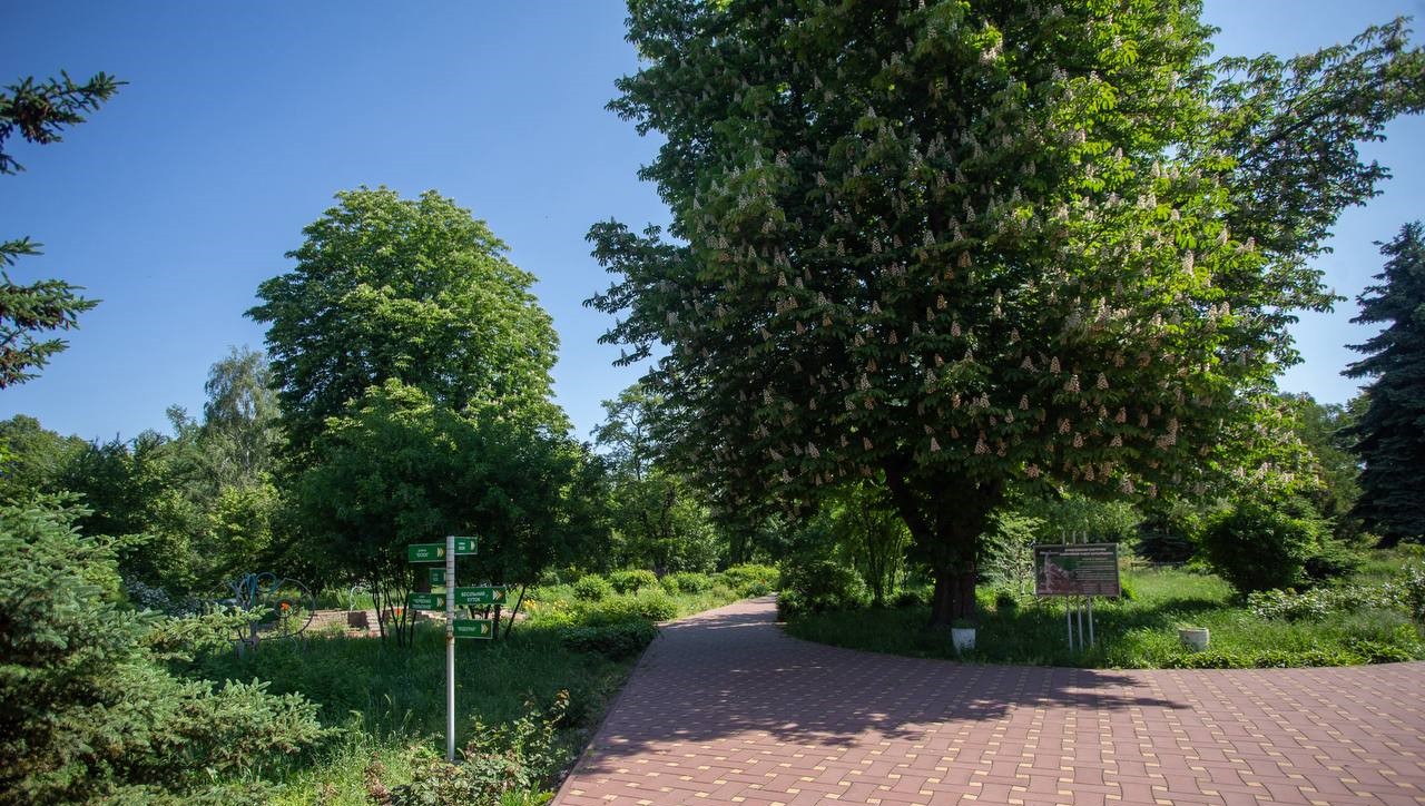 Вже у червні Розарій у Кам'янському прийматиме відвідувачів - ФОТО