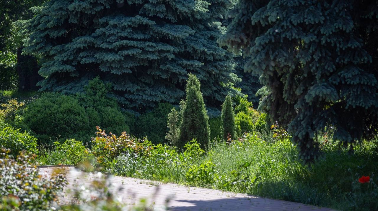 Вже у червні Розарій у Кам'янському прийматиме відвідувачів - ФОТО