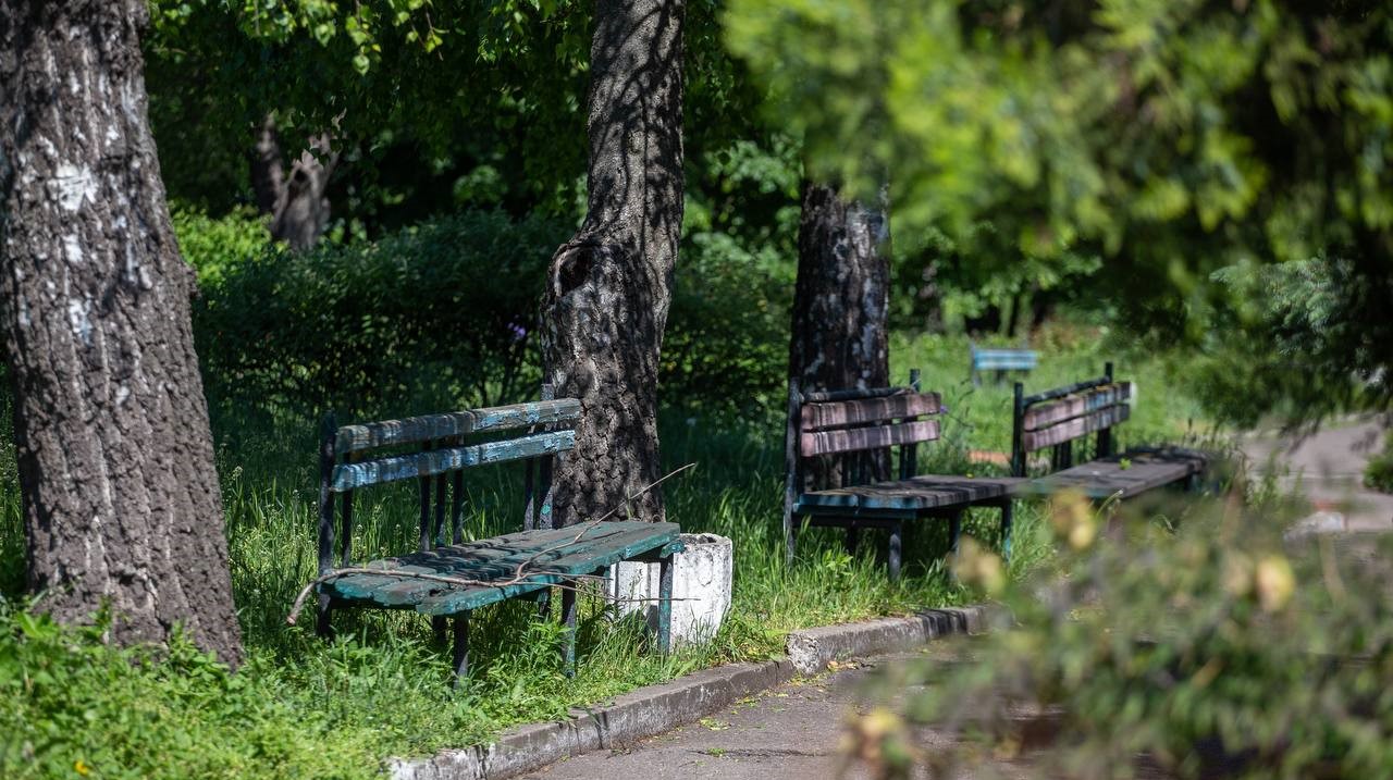 Вже у червні Розарій у Кам'янському прийматиме відвідувачів - ФОТО