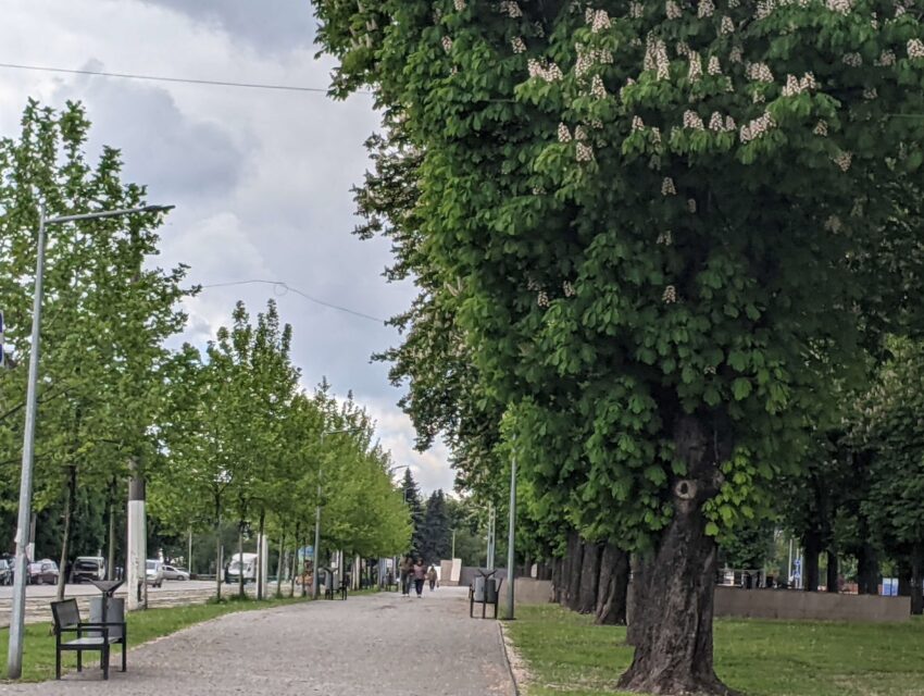 Вночі від атак ворога потерпали три райони Дніпропетровщини