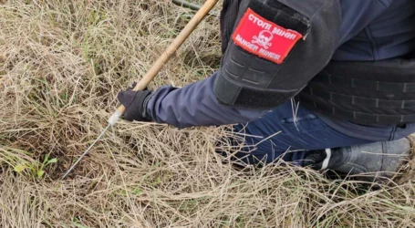З початку року на Дніпропетровщині знищили понад 1,6 тис. вибухонебезпечних предметів