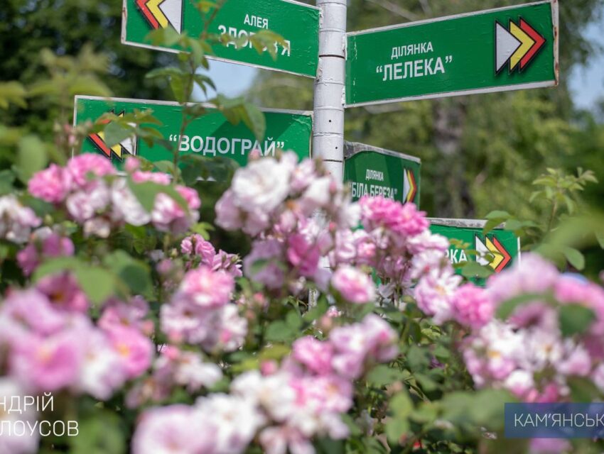 У Кам’янському знову відкрився розарій