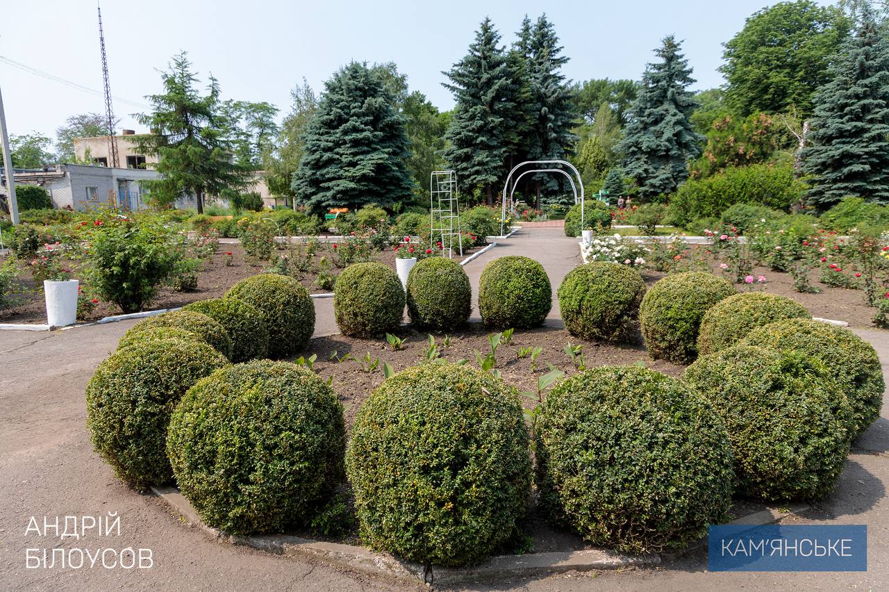 У Кам’янському знову відкрився розарій - ФОТО