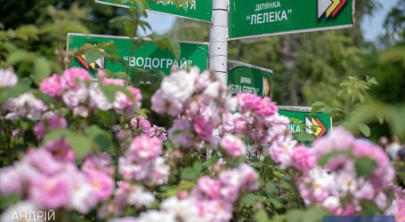 У Кам’янському знову відкрився розарій