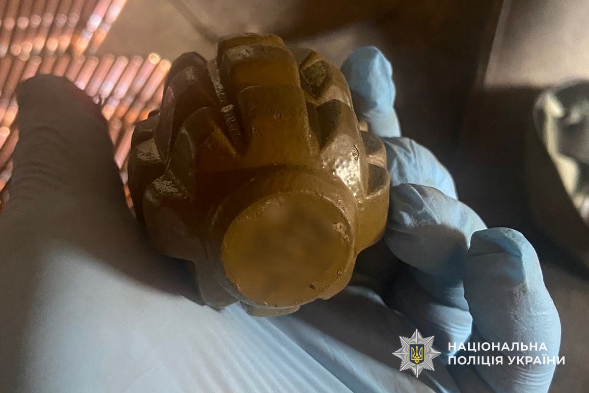 У Кам'янському районі поліційні виявили у місцевого жителя схрон зі зброєю та боєприпасами - ФОТО