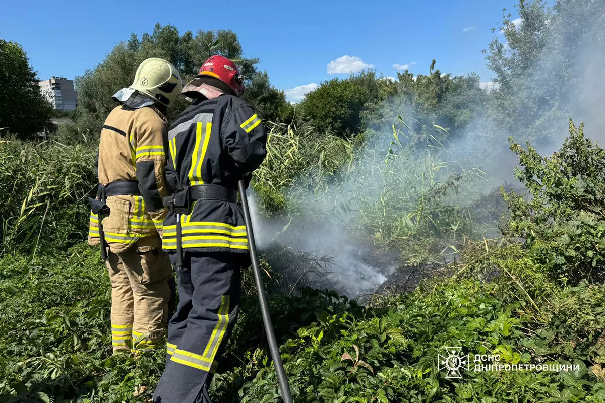 За минулу добу на Дніпропетровщині вогонь знищив понад 26 га екосистем. - ФОТО