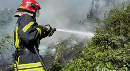 За минулу добу на Дніпропетровщині вогонь знищив понад 26 га екосистем