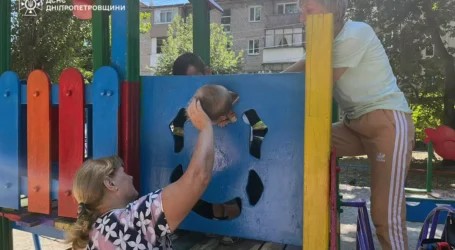 Застряг головою у дерев’яній конструкції: в Кам’янському районі визволили з “пастки” 2-річного хлопчика