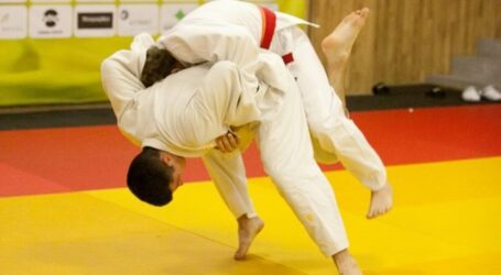 Спортсмени з Кам`янського візьмуть участь у чемпіонаті України з дзюдо