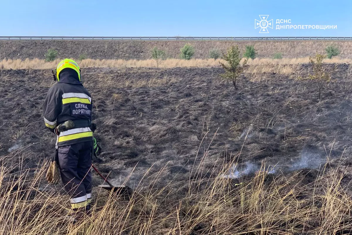 Майже 40 пожеж в екосистемах ліквідували вогнеборці на Дніпропетровщині протягом доби - ФОТО