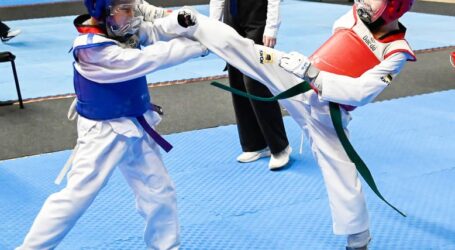 В Кам’янському відбувся чемпіонат Дніпропетровщини з тхеквондо ВТФ: місцеві спортсмени перемогли у двох розділах