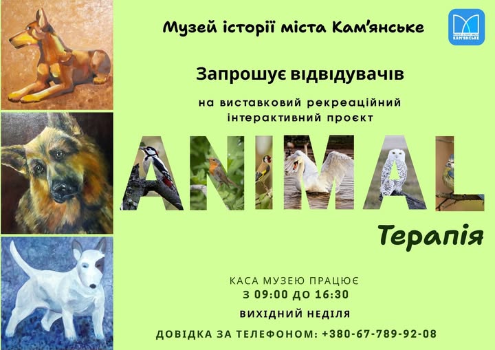 В Кам’янському юних дослідників запрошують поринути у захопливий світ тварин – собак, котів та птахів