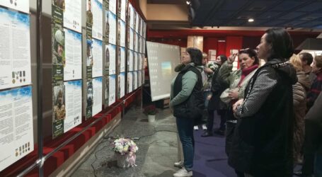 В Музеї історії Кам’янського відкрилась виставка «АЗОВ. Янголи Маріуполя»