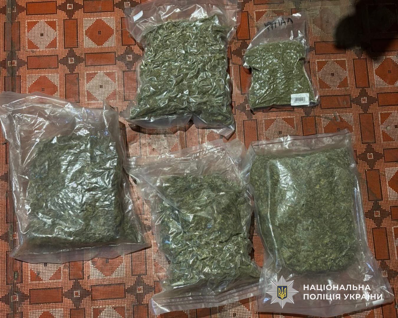 Вилучили конопель на майже 2 млн гривень: у Кам’янському районі правоохоронці затримали наркозбувача - ФОТО