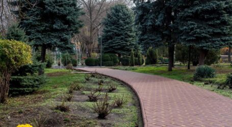 Восени в Кам’янському висадили майже чотири тисячі зелених насаджень